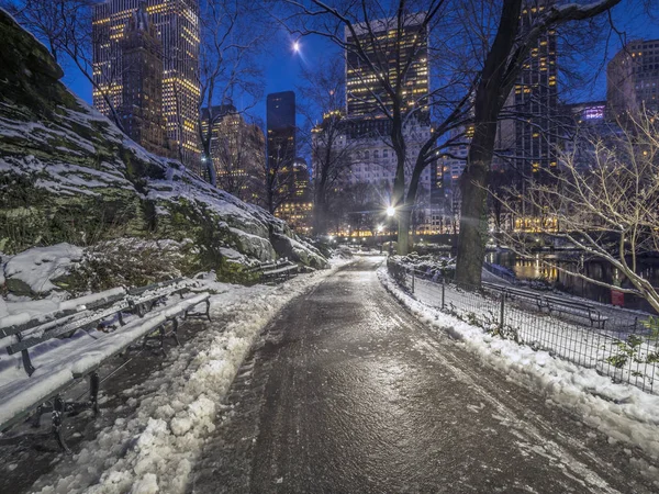 Central Park Kar Fırtınası Gece Sonra — Stok fotoğraf