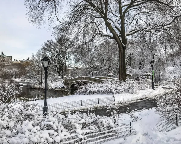 Łuk Mostu Nowym Jorku Central Park Manhattan — Zdjęcie stockowe