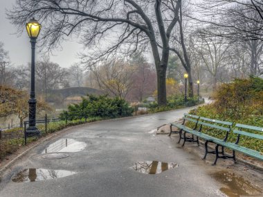 Gapstow köprü Central Park, New York? İtalyan sisli puslu günü