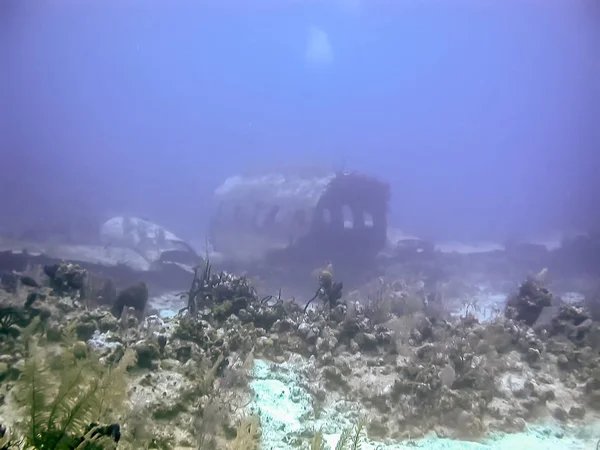 Airplace Wreck Coast South Cacios Caribbean — Stock Photo, Image