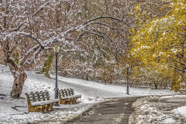 Central Park Manhattan New York City Våren — Stockfoto