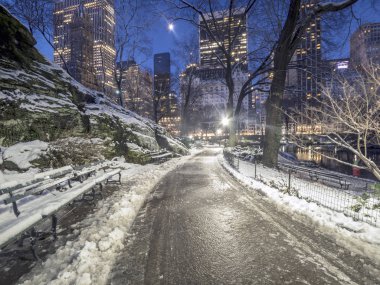 Central Park, Manhattan, New York City kış