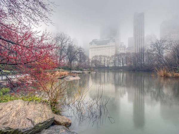 Central Park Göle Sisli Gün Bahar — Stok fotoğraf