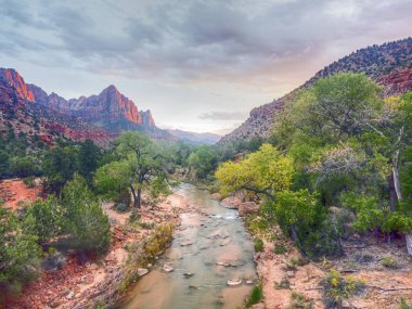 Zion National Park güneybatı Utah Springdale şehir bulunan bir Amerikan Milli Parkı olduğunu. 
