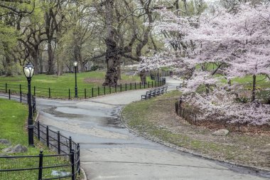 Central Park, Manhattan, New York Baharda