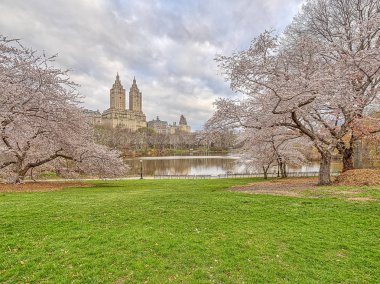 Central Park, Manhattan, New York Baharda