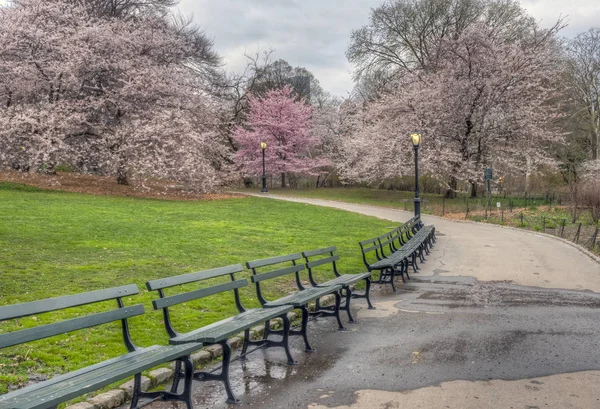 Central Park Manhattan Nueva York Primavera — Foto de Stock