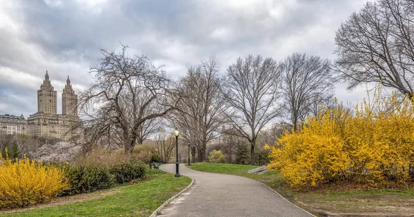 Central Park Manhattan New York City Het Voorjaar — Stockfoto