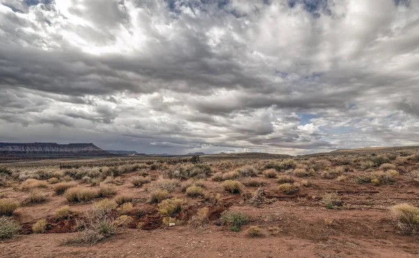 Zion Nemzeti Park Egy Amerikai Nemzeti Park Délnyugati Utahban Közelében — Stock Fotó