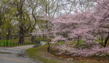 Central Park, Manhattan, New York Baharda