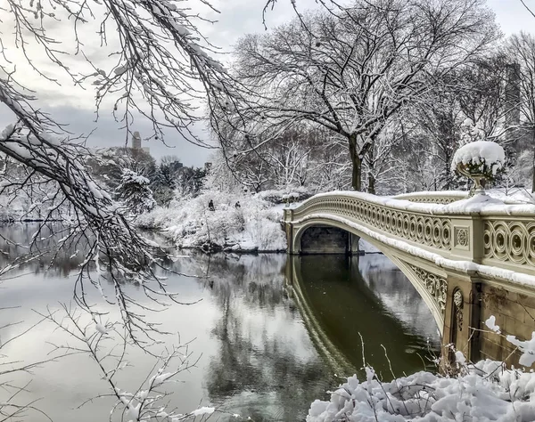 New York City Central Park Manhattan Yay Köprüsü — Stok fotoğraf