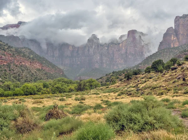 Zion Nationalpark Ist Ein Amerikanischer Nationalpark Südwestlicher Utah Der Nähe — Stockfoto