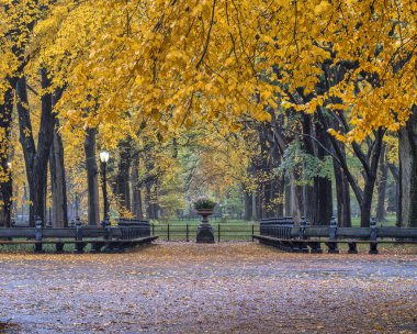 Central Park Alışveriş Merkezi geçit orta aracılığıyla