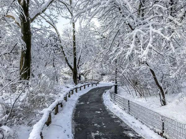 Central Park Manhattan Nova Iorque Inverno — Fotografia de Stock