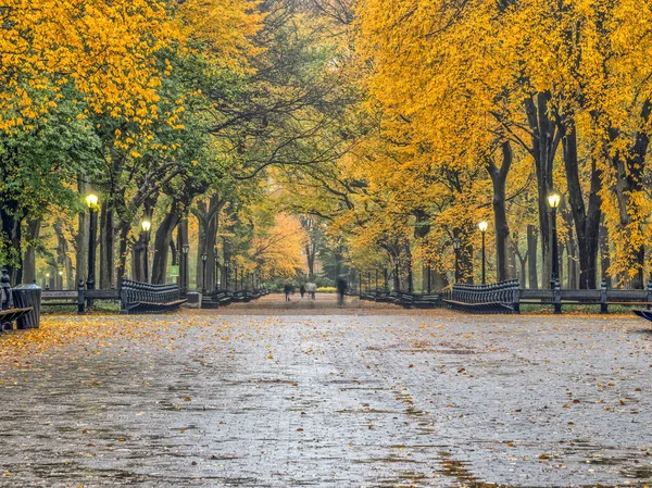 Central Park Mall Walkway Middle — Stock Photo, Image