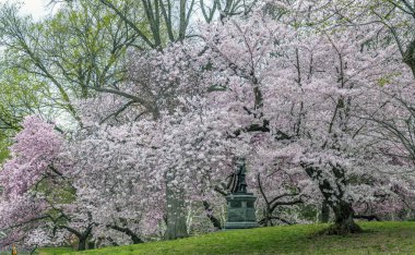 Central Park, New York City bahar