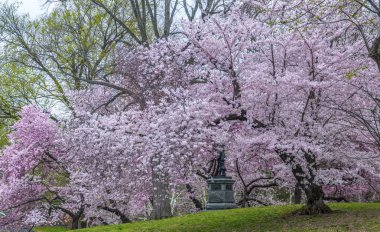Central Park, New York City bahar