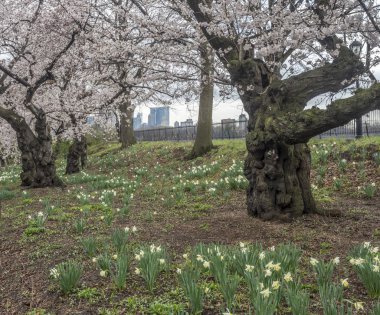 Central Park, Manhattan, New York Baharda