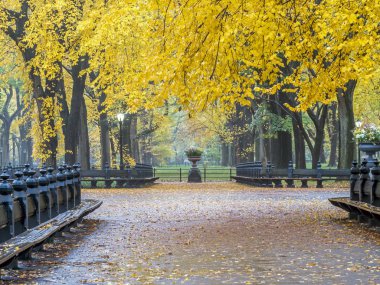 Central Park Alışveriş Merkezi geçit orta aracılığıyla