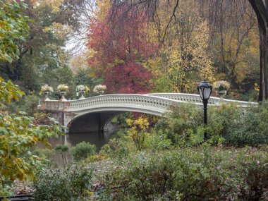 New York City, Central Park Manhattan yay Köprüsü