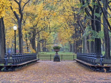 Central Park Alışveriş Merkezi geçit orta aracılığıyla