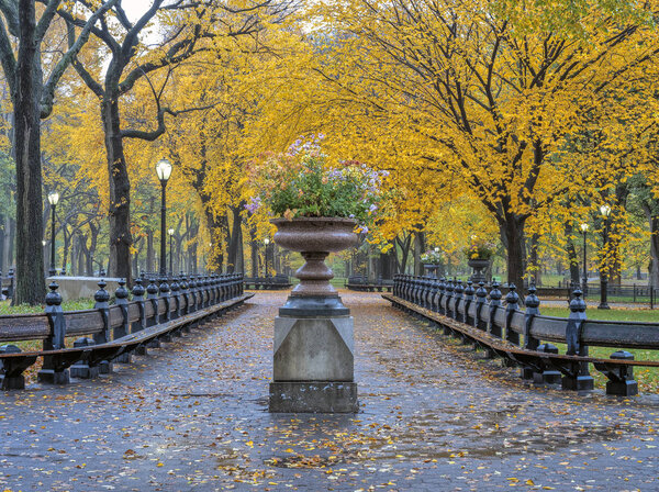 Central Park Mall walkway through the middle