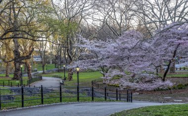 Central Park, Manhattan, New York Baharda