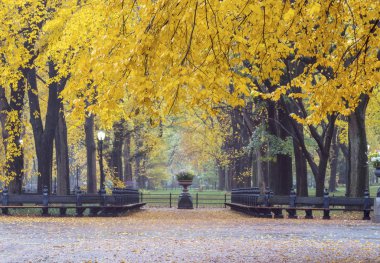 Central Park Alışveriş Merkezi geçit geç sonbaharda orta aracılığıyla 