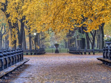 Central Park Alışveriş Merkezi geçit geç sonbaharda orta aracılığıyla 