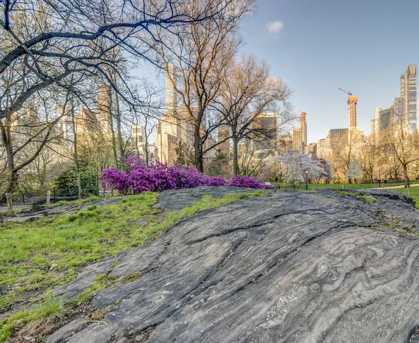 Central Park Manhattan New York Printemps — Photo