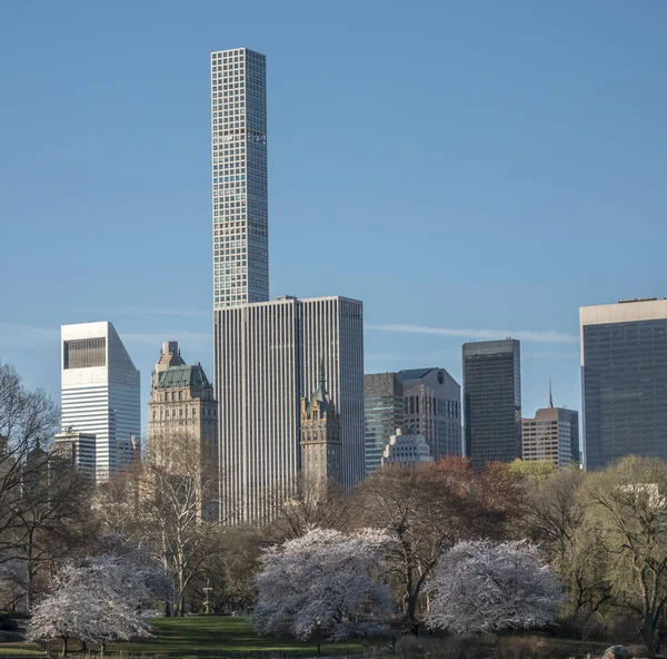 Central Park Vid Sjön — Stockfoto