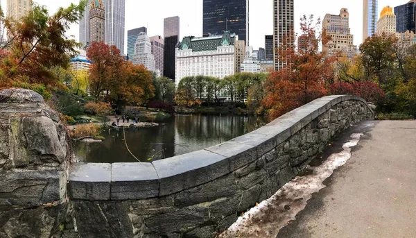 Most Gapstow Central Park Nowy Jork Nia — Zdjęcie stockowe