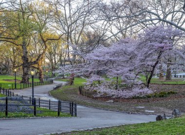 Central Park, Manhattan, New York Baharda