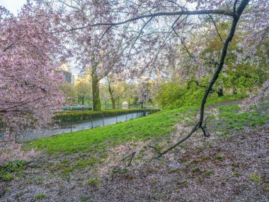 Central Park, Manhattan, New York Baharda