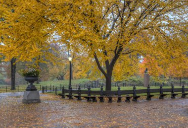 Central Park, sonbahar Manhattan, New York'ta