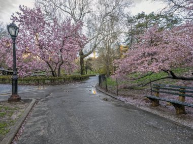 Central Park, Manhattan, New York Baharda
