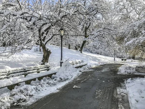 Central Park Manhattan Nova Iorque Inverno — Fotografia de Stock