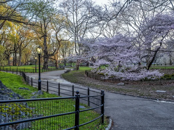 Central Park Manhattan New York City Het Voorjaar — Stockfoto