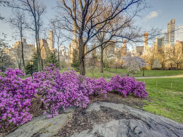 Central Park Manhattan New York City Spring — Stock Photo, Image