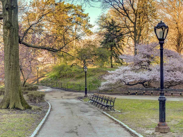 Central Park Manhattan Nueva York Primavera —  Fotos de Stock