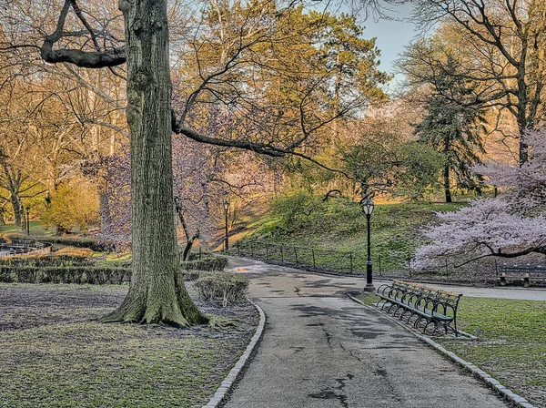 春のニューヨーク市マンハッタンのセントラルパーク — ストック写真