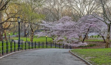Central Park, Manhattan, New York Baharda