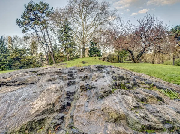 Central Park Manhattan New York City Spring — Stock Photo, Image