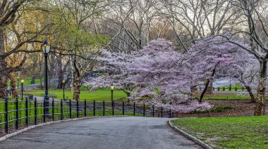 Central Park, Manhattan, New York Baharda