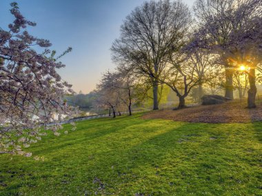 Central Park, Manhattan, New York Baharda