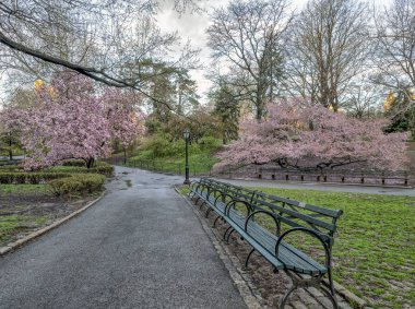 Central Park, Manhattan, New York Baharda