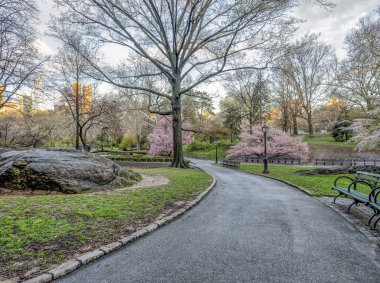 Central Park, Manhattan, New York Baharda
