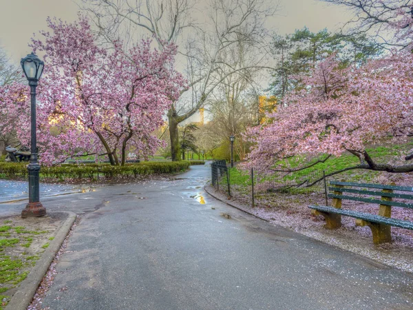 Central Park Manhattan Nueva York Primavera — Foto de Stock