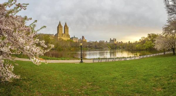 Central Park Manhattan New York City Frühling Mit Kirschbäumen Blüte — Stockfoto