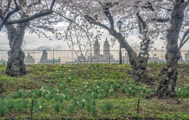 Central Park, Manhattan, New York Baharda